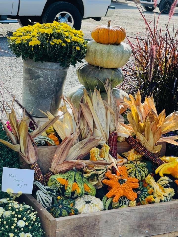 Fall Decorations for potting party