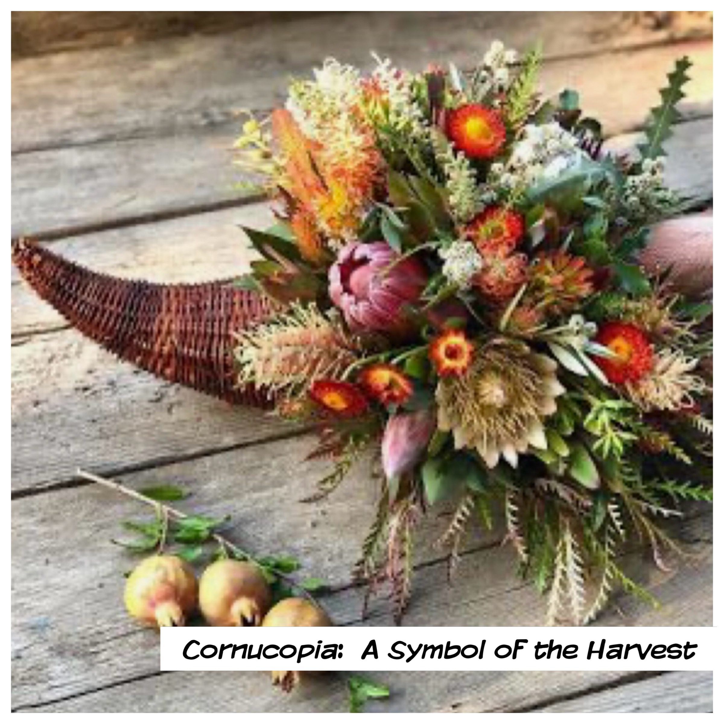 Cornucopia A Symbol of the Harvest