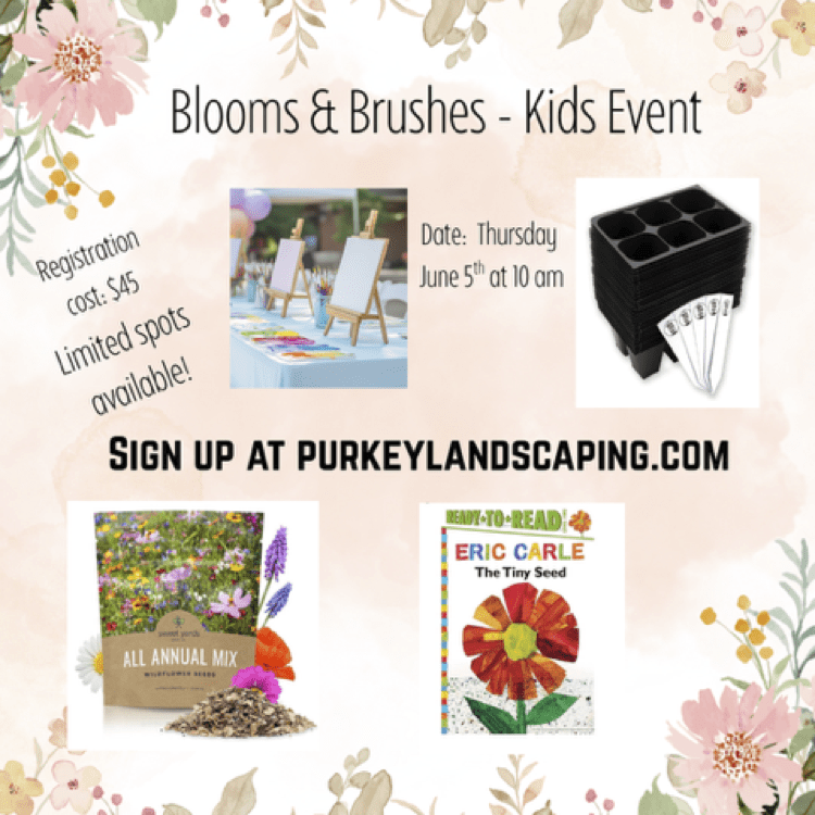 Blooms and Brushes Blooms and Brushes