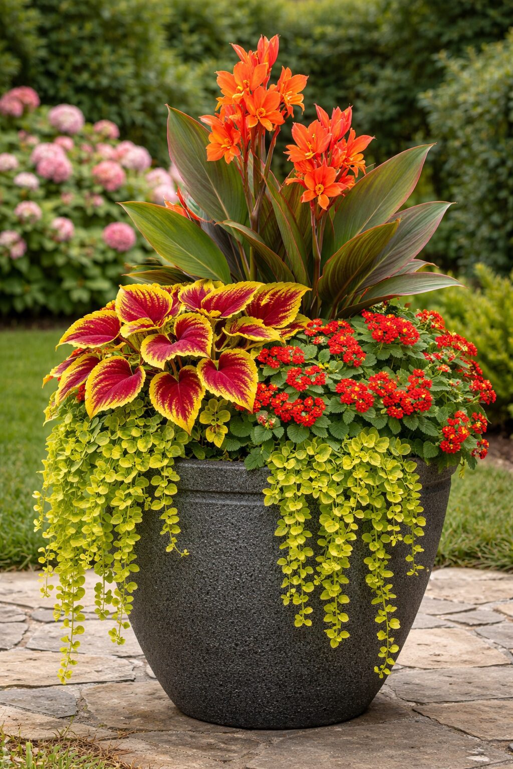 3695534F-7EB2-4536-9A21-3826156C2B85