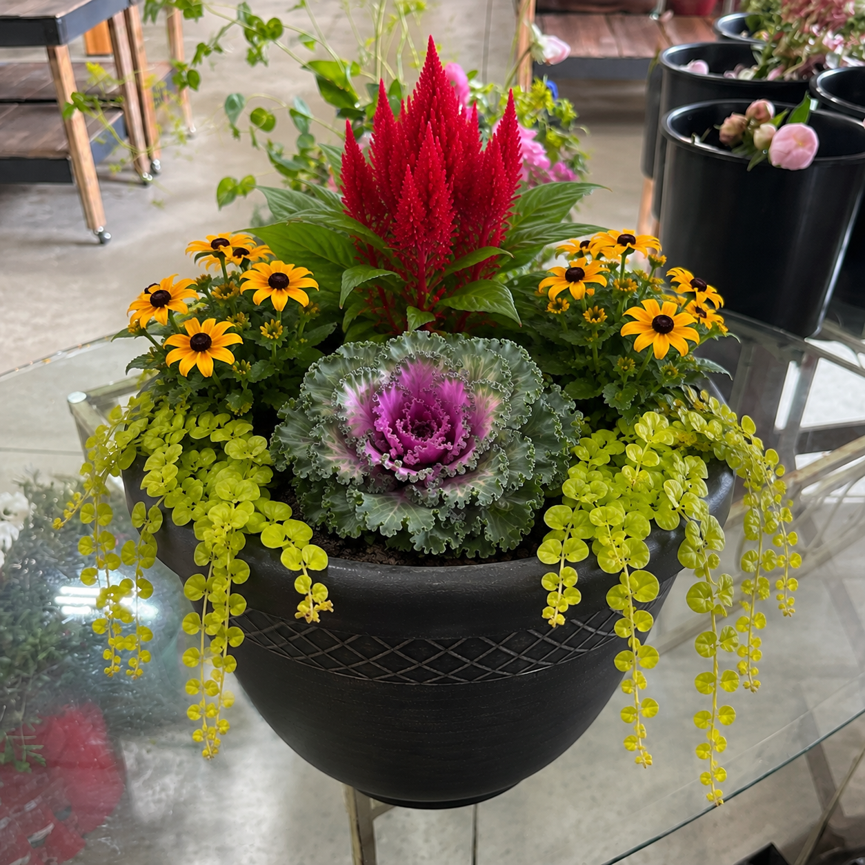 fall pot